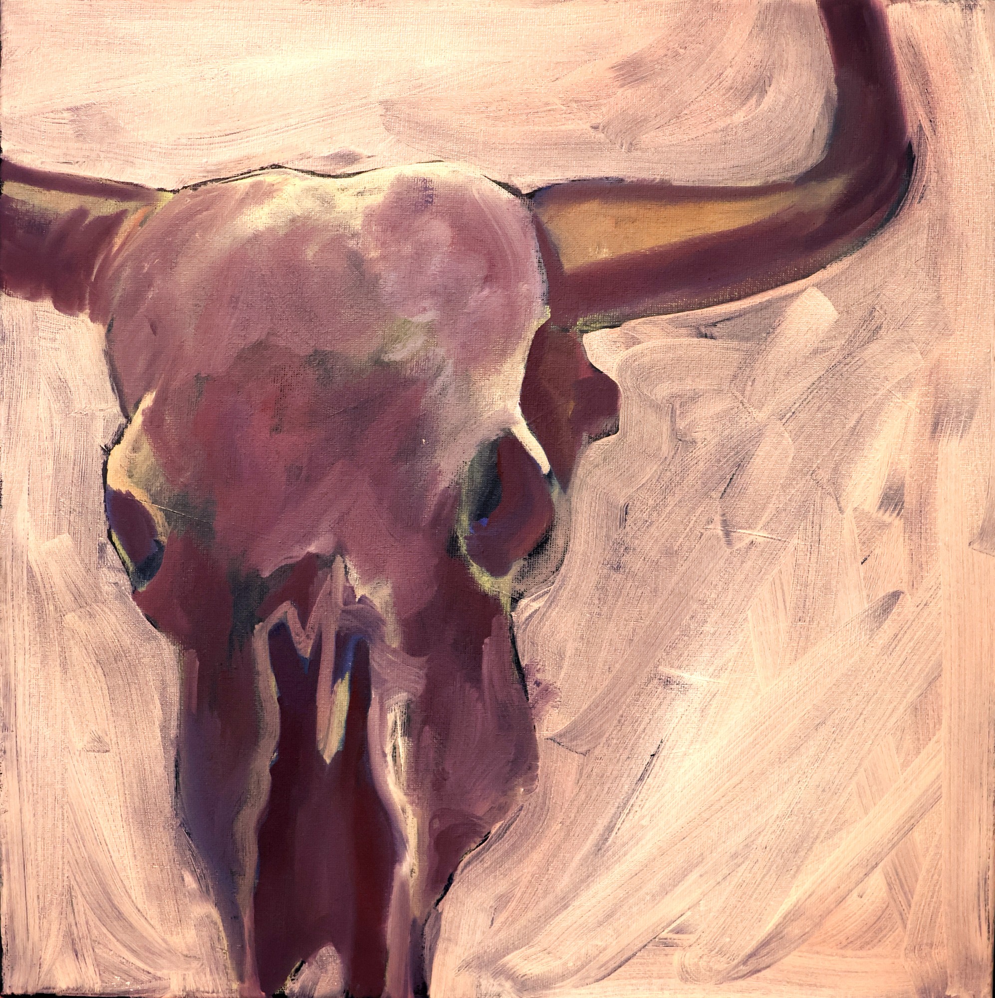 Bull Skul