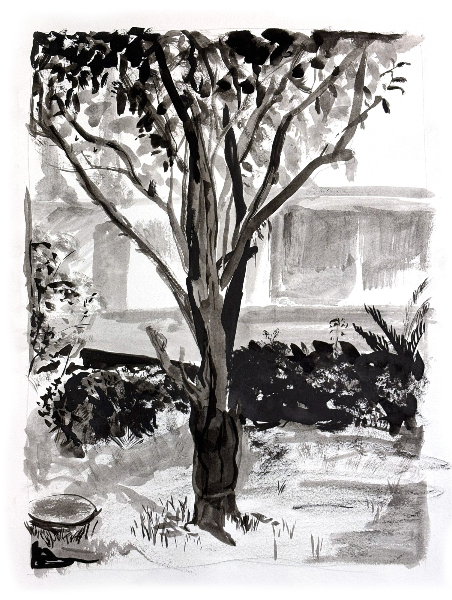 tree